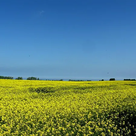 Apartment Sommerloft Rerik