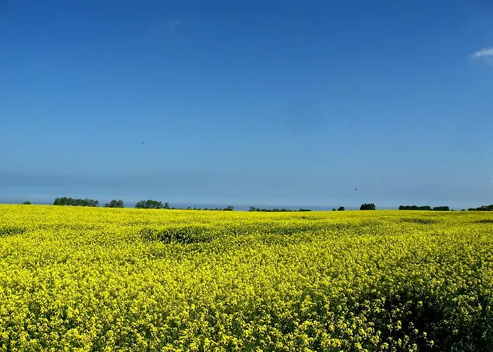 Apartment Sommerloft Rerik